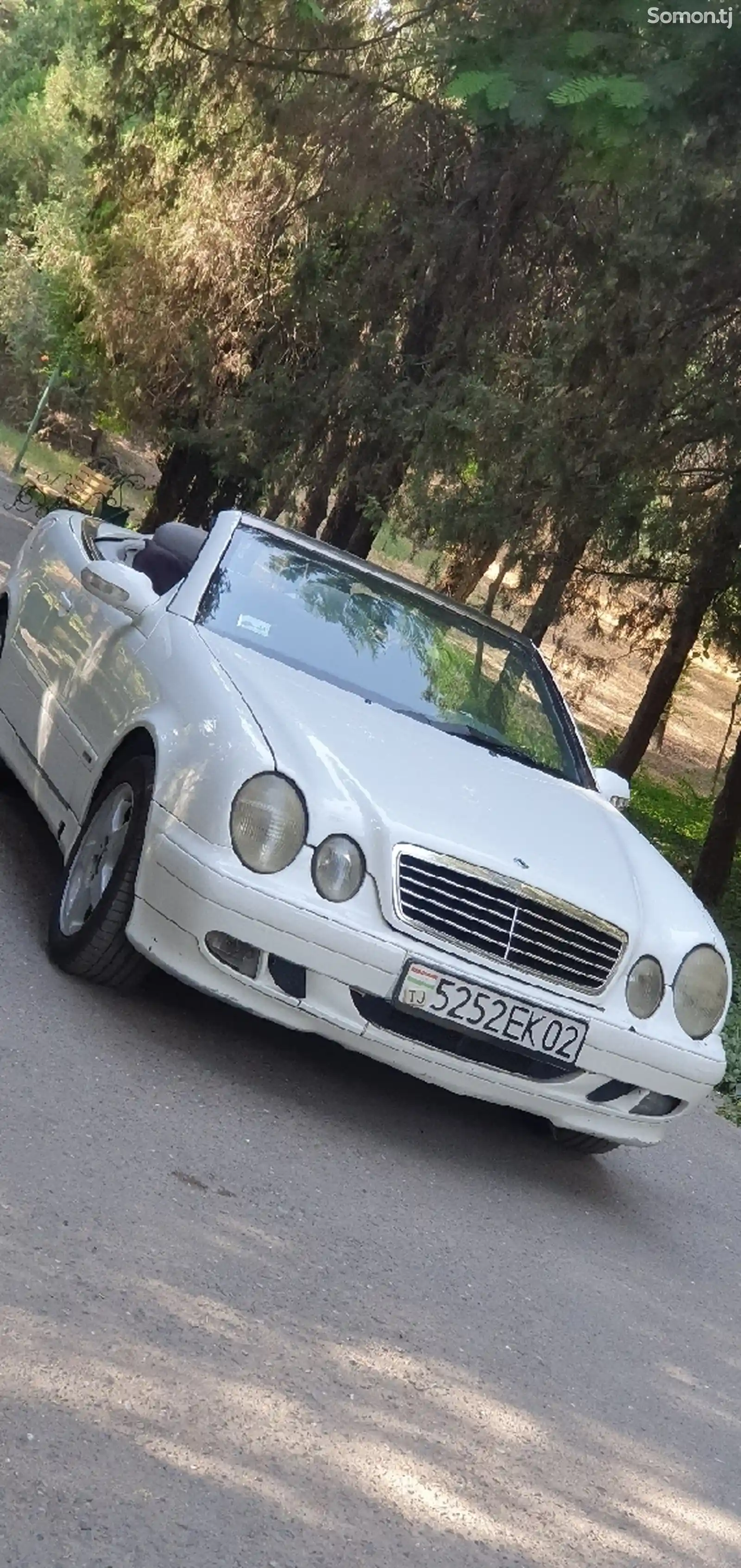 Mercedes-Benz CLK class, 2003-3