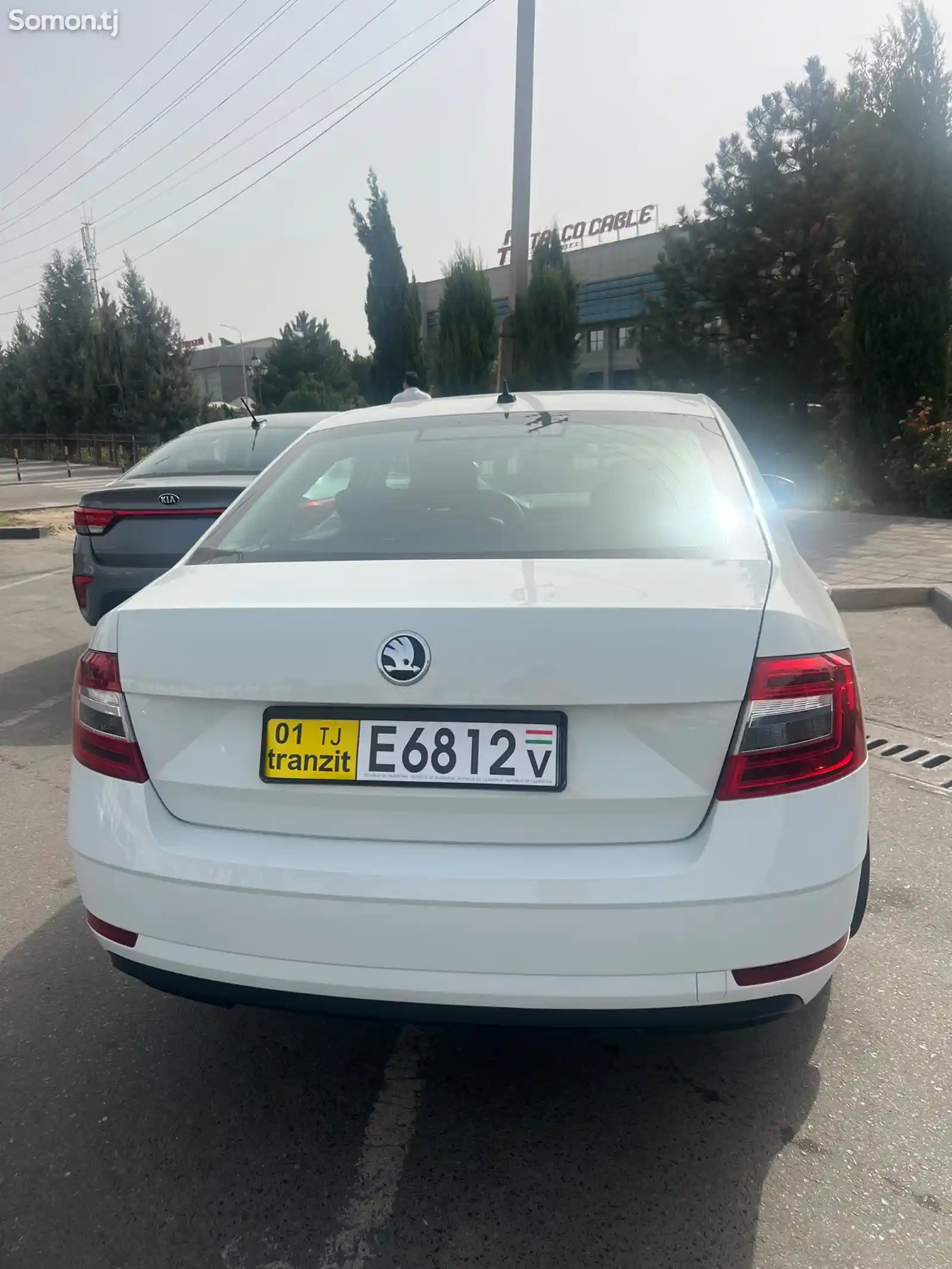 Skoda Octavia, 2019-3