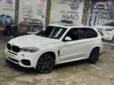 BMW X5, 2014-3