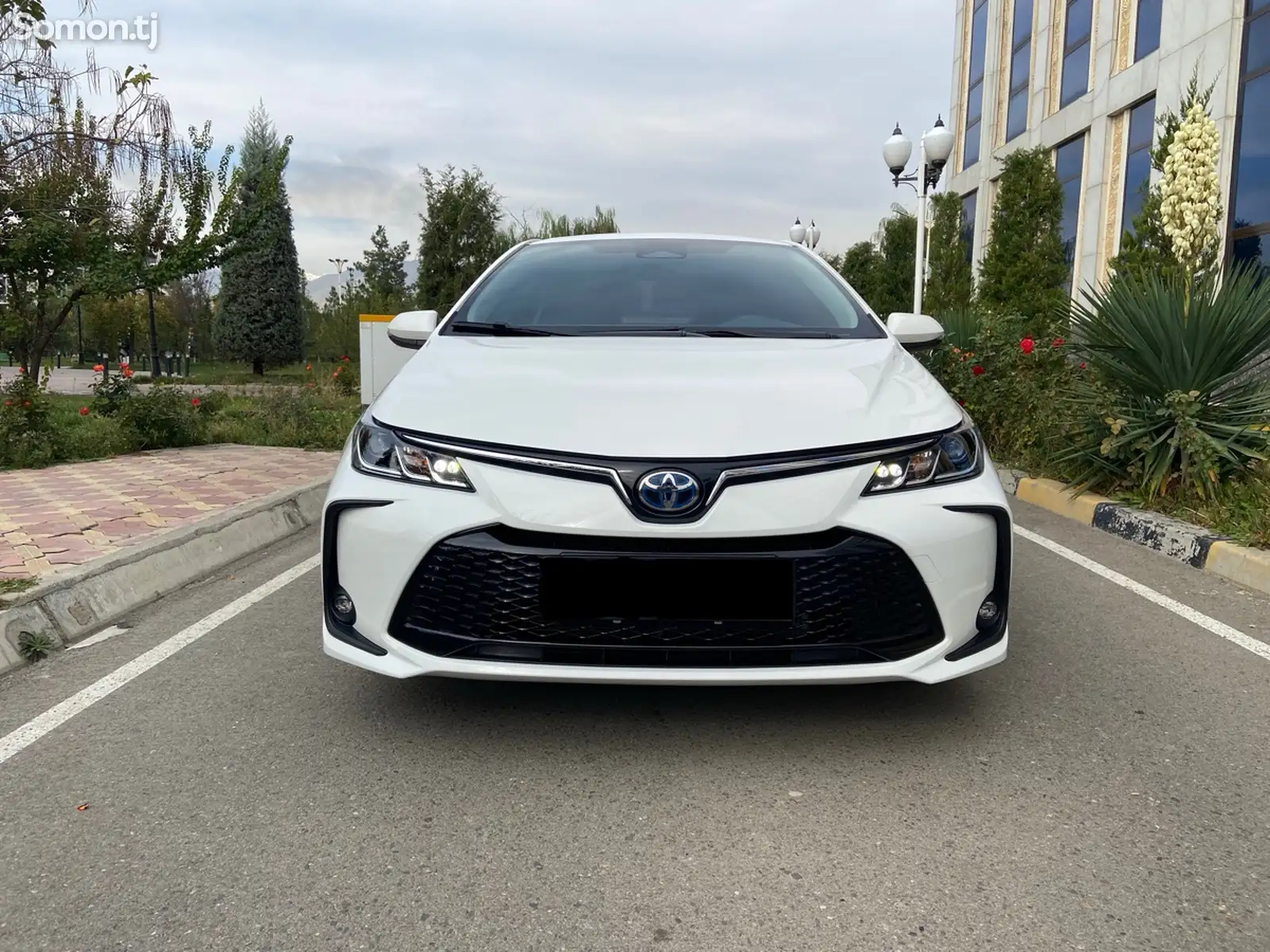 Toyota Corolla, 2024-1