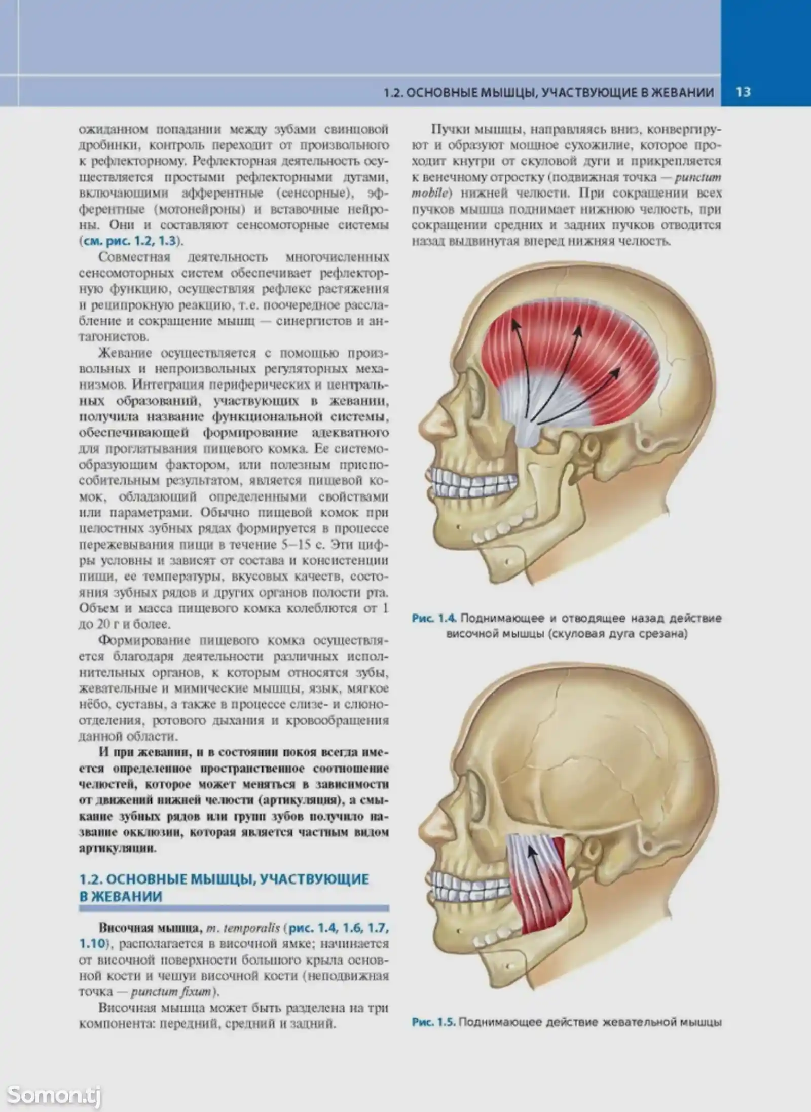 Учебник Ортопедическая стоматология-7