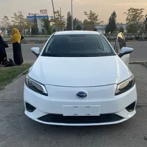 GAC Aion S, 2019