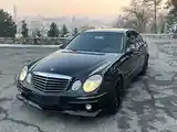 Mercedes-Benz E class, 2008-4