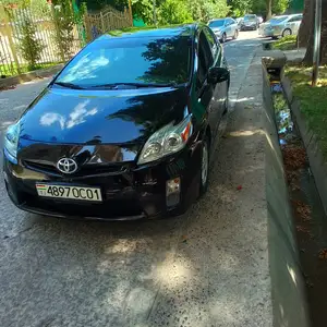 Toyota Prius, 2010