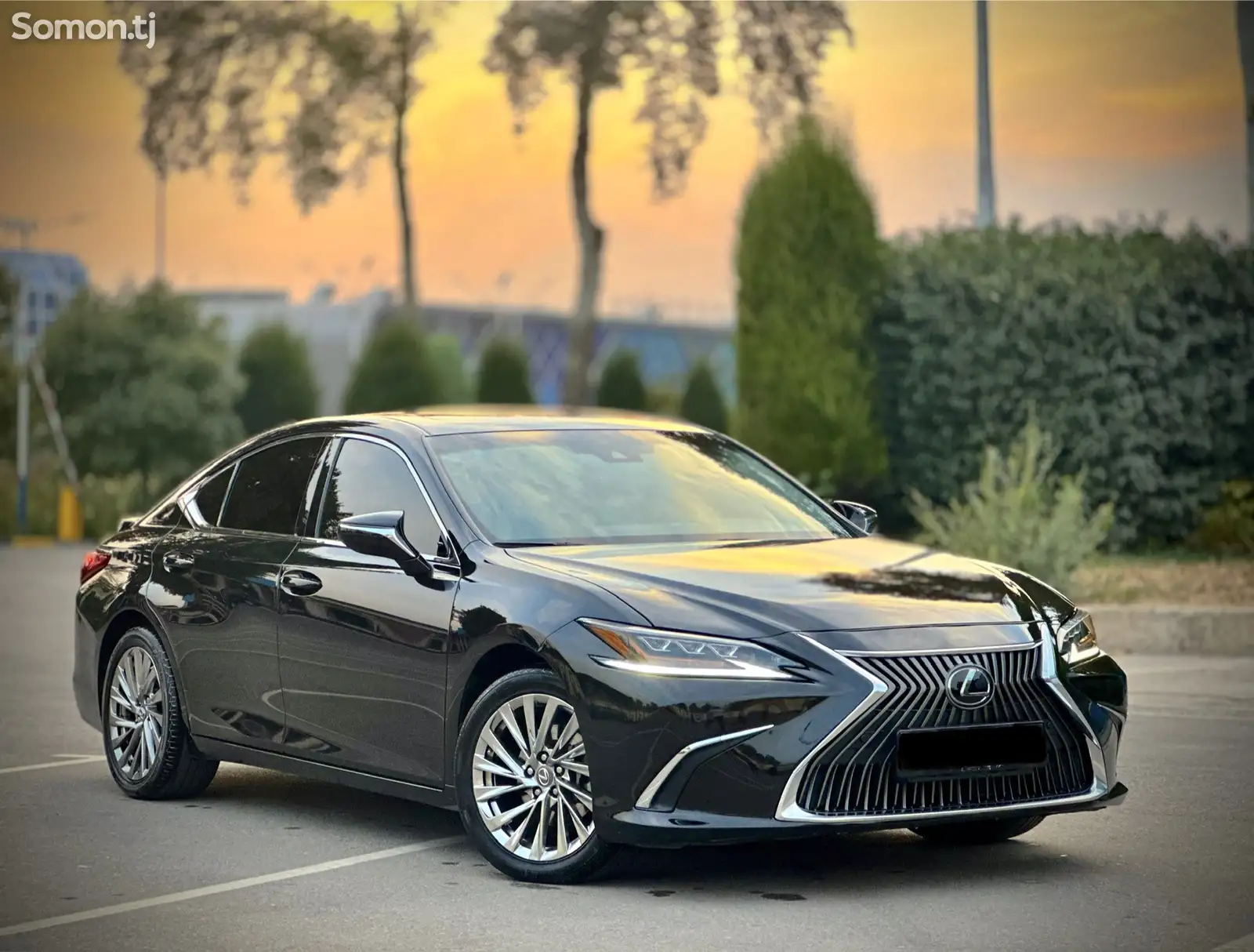 Lexus ES series, 2019-1