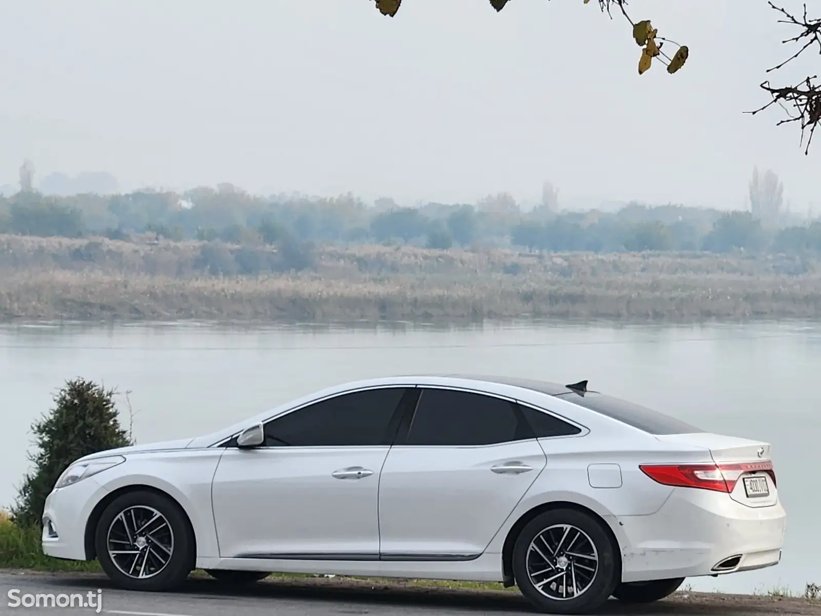 Hyundai Grandeur, 2013-1