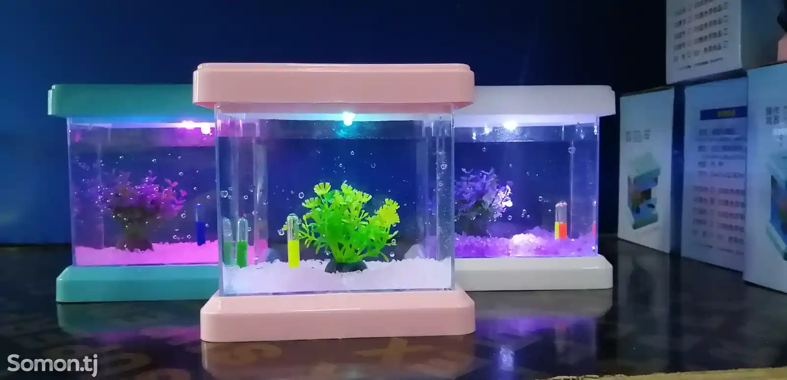 Мини-аквариум-8