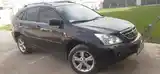 Lexus RX series, 2007-2