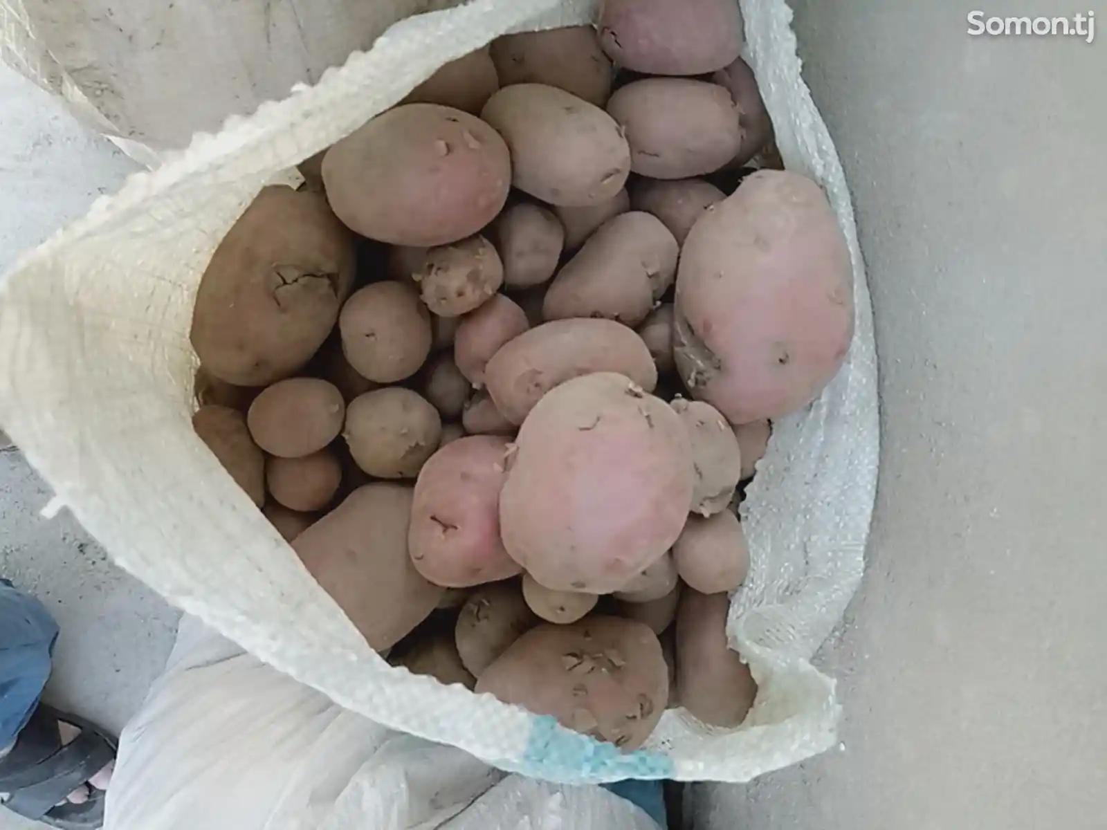 Картошка-4