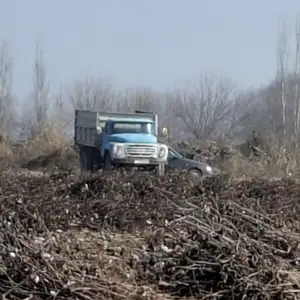 Самосвал МТЗ 80, 1985