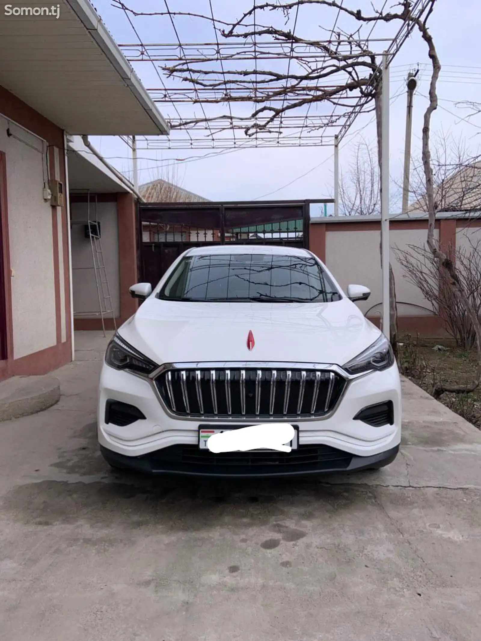 Hongqi E-HS3, 2020-1