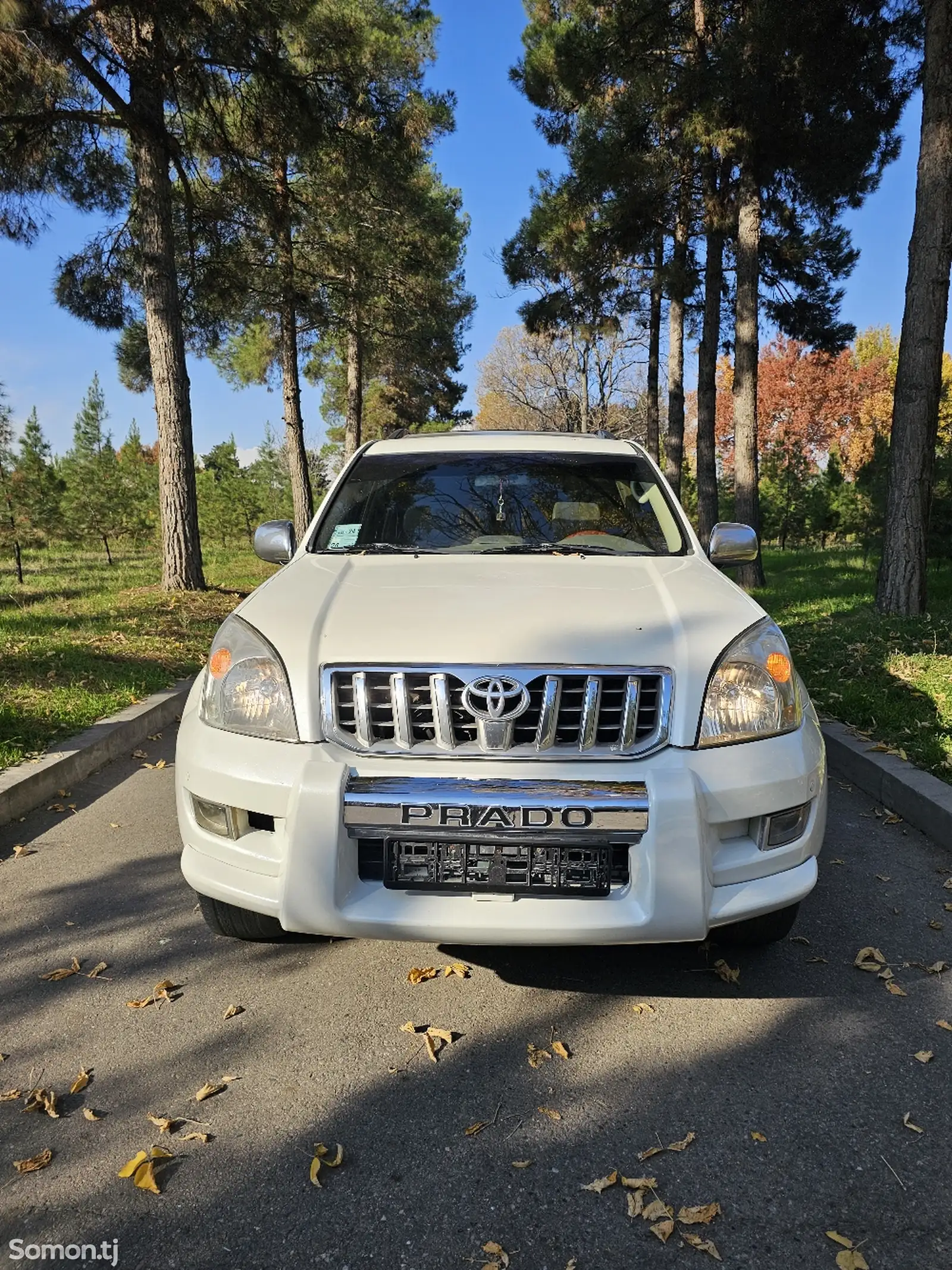 Toyota Land Cruiser Prado, 2008-1