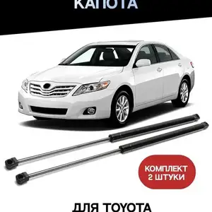 Амортизатор капота на Toyota Camry 2