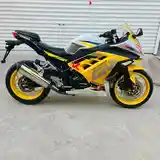 Мотоцикл Yellow ninja 250cc-4