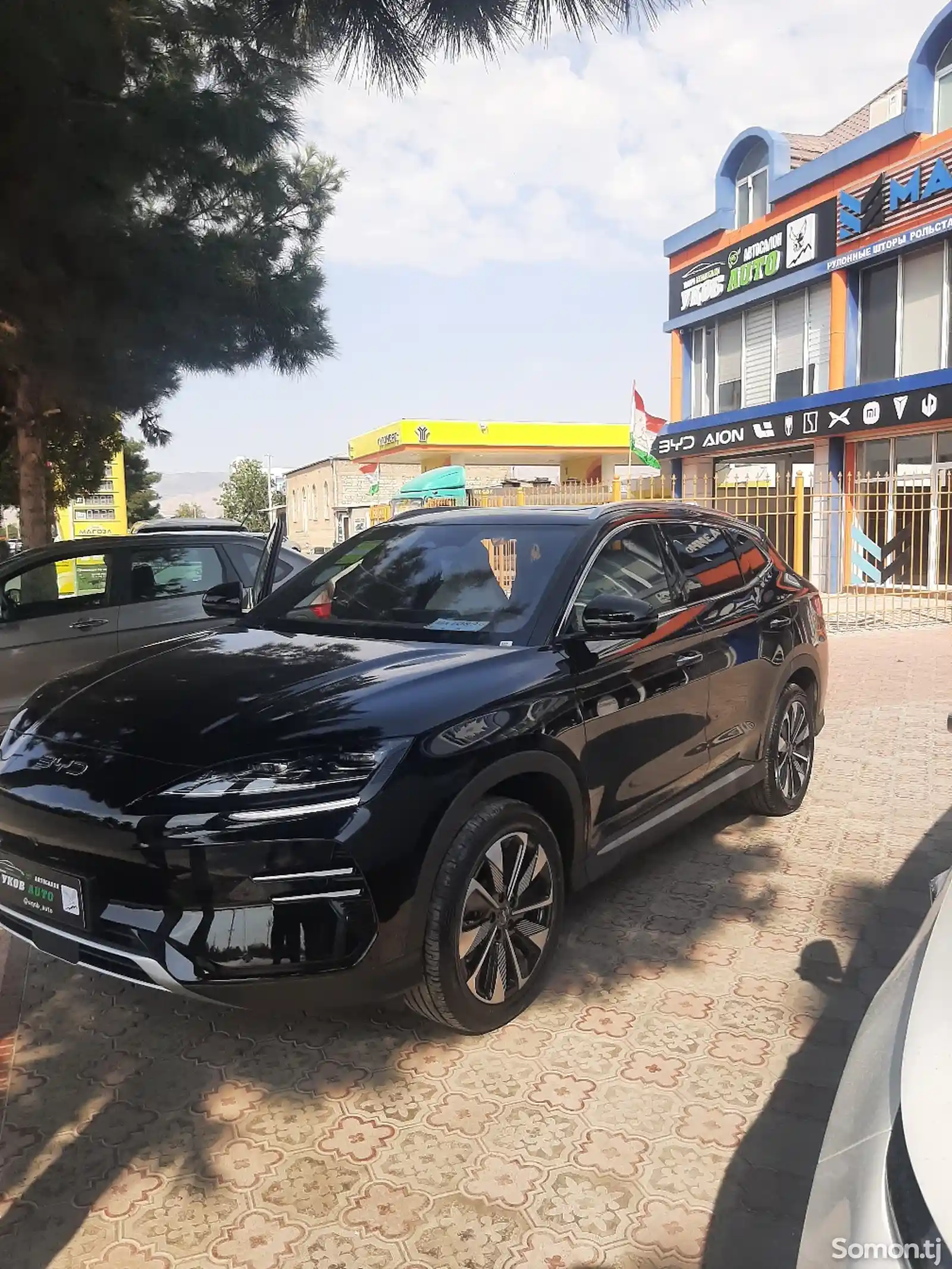 BYD Song Plus Flagship, 2024-2