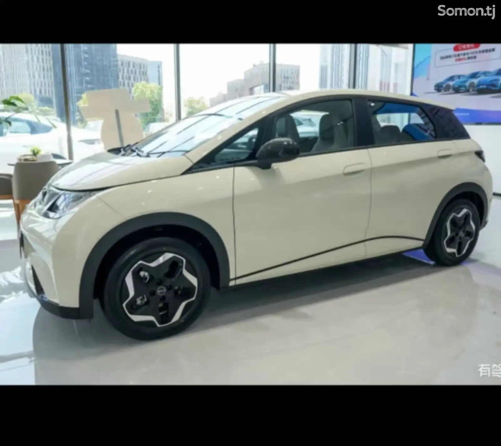 BYD Dolphin, 2024-1