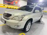 Lexus RX series, 2009-4