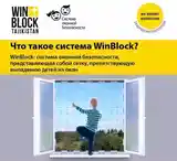 Панчара Winblock бо фармоиш-2