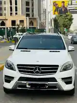 Mercedes-Benz ML class, 2015-3