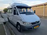 Пассажирский Mercedes Benz Sprinter, 2006-2