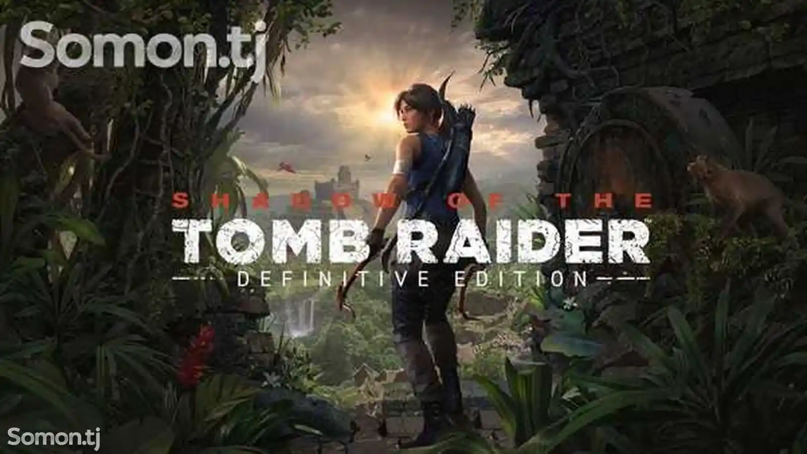 Игра Shadow of the Tomb Raider для PS-4 / 5.05 / 6.72 / 7.02 / 7.55 / 9.00 /-6
