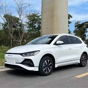 BYD E2, 2024