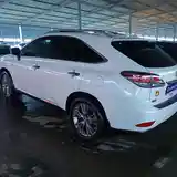 Lexus RX series, 2013-3