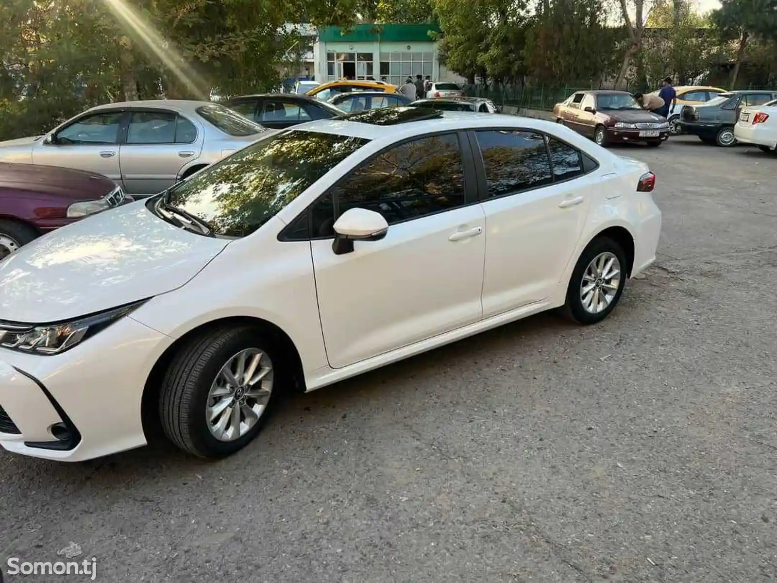 Toyota Corolla, 2023-2