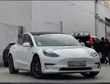 Tesla Model 3, 2020-2