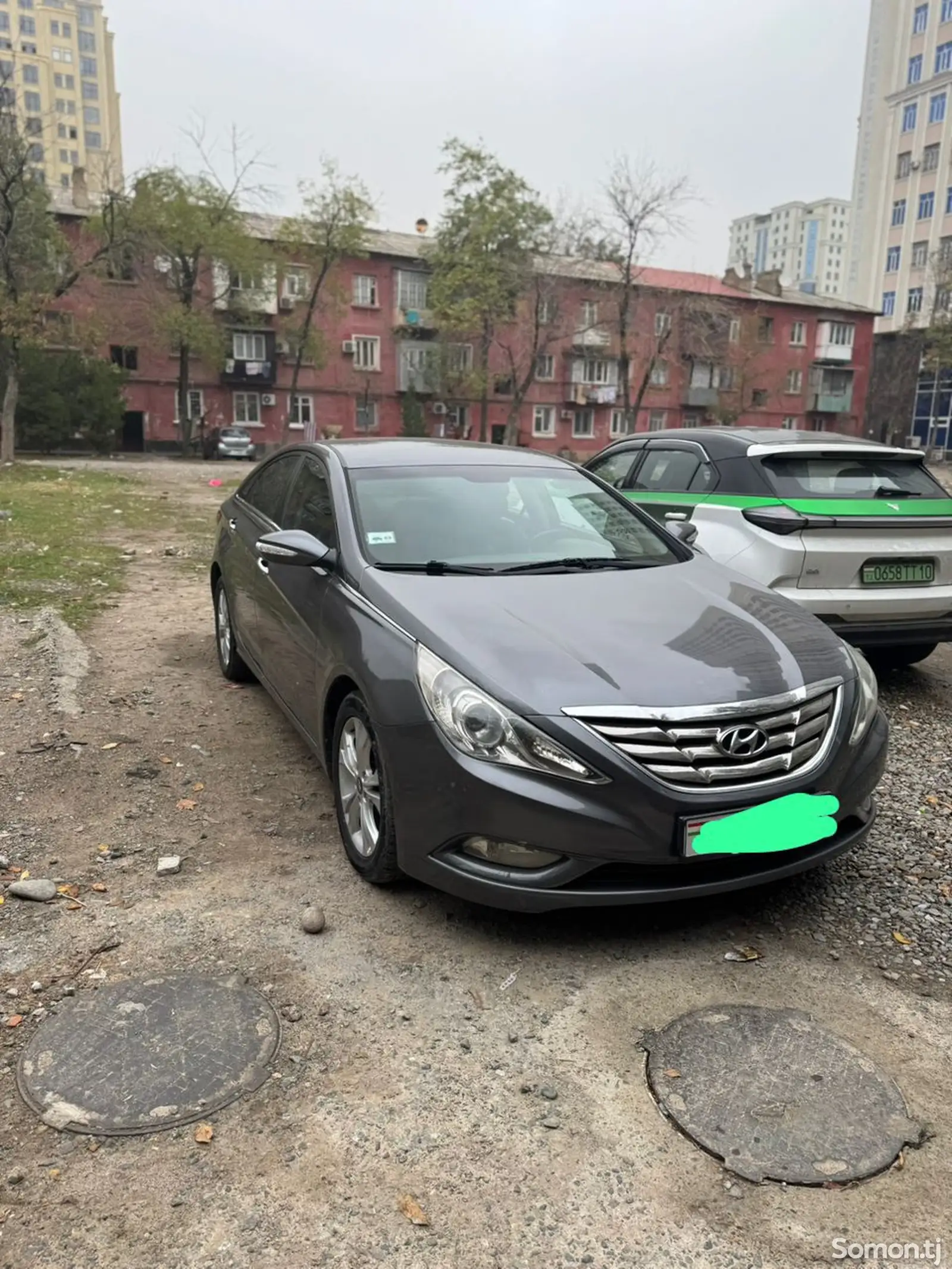 Hyundai Sonata, 2010-1