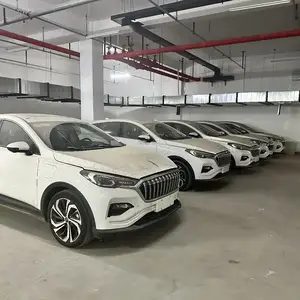 Hongqi E-HS3, 2019