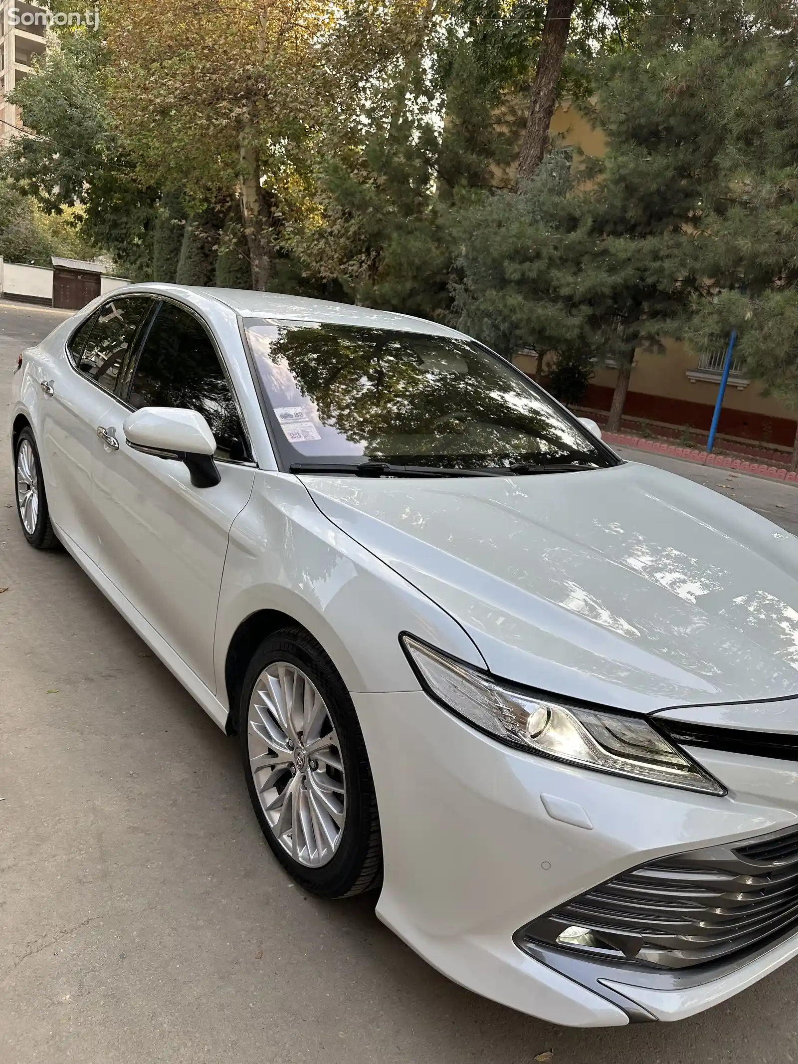 Toyota Camry, 2019-4