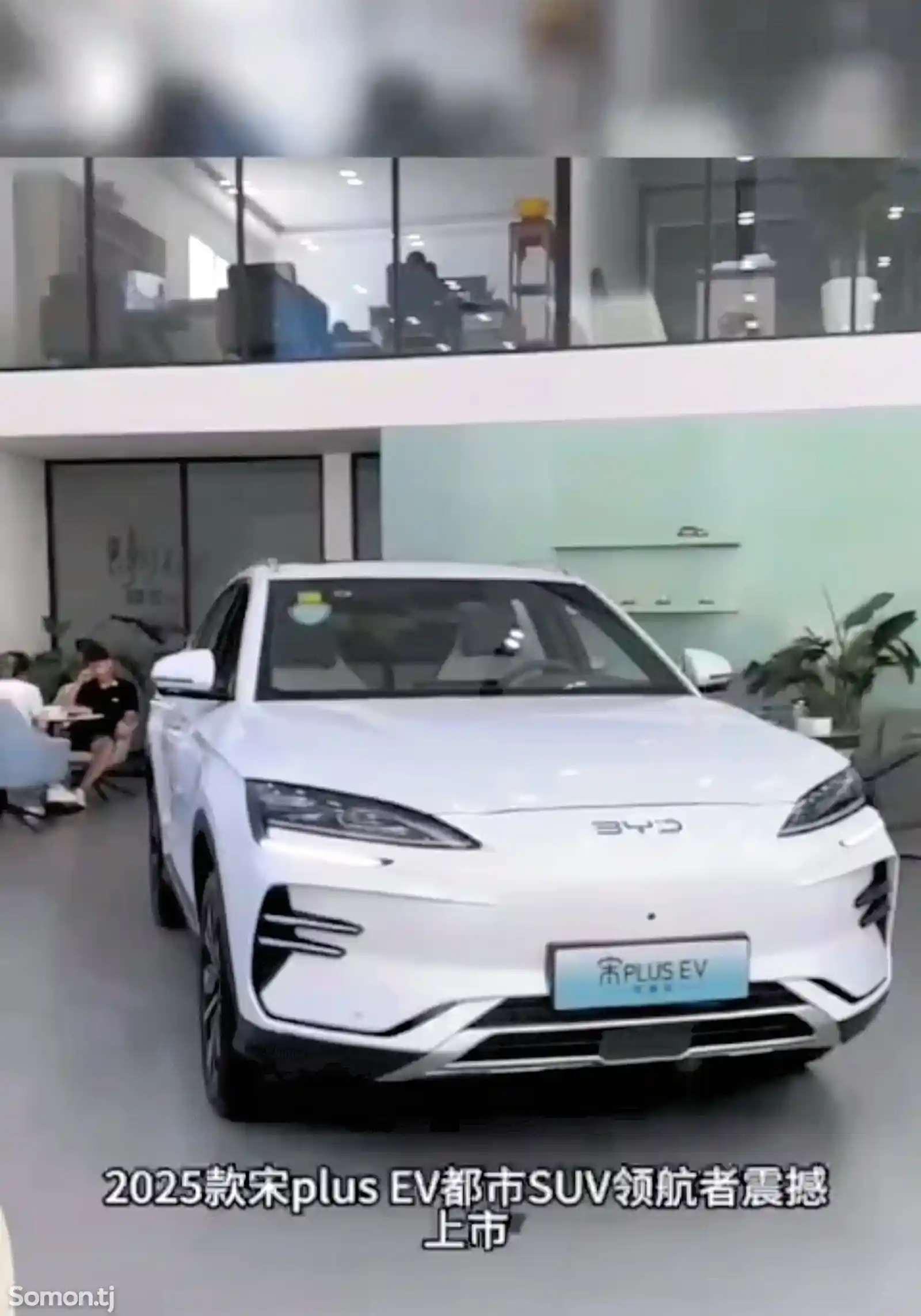 BYD Song Plus Flagship, 2024-3