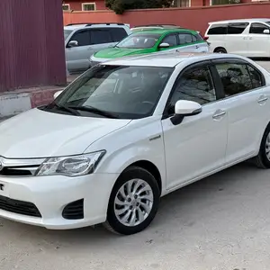 Toyota Axio, 2014