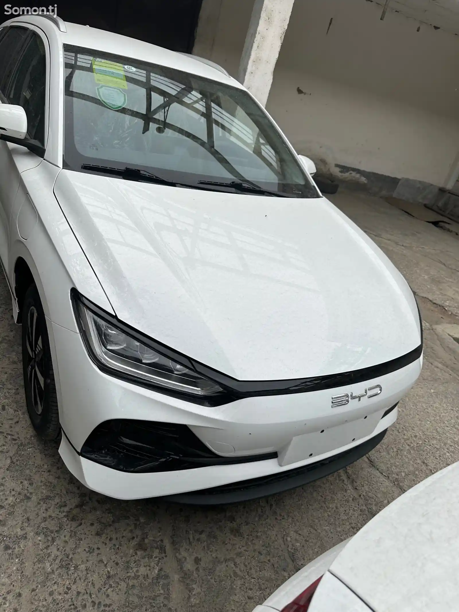 BYD E2, 2024-1