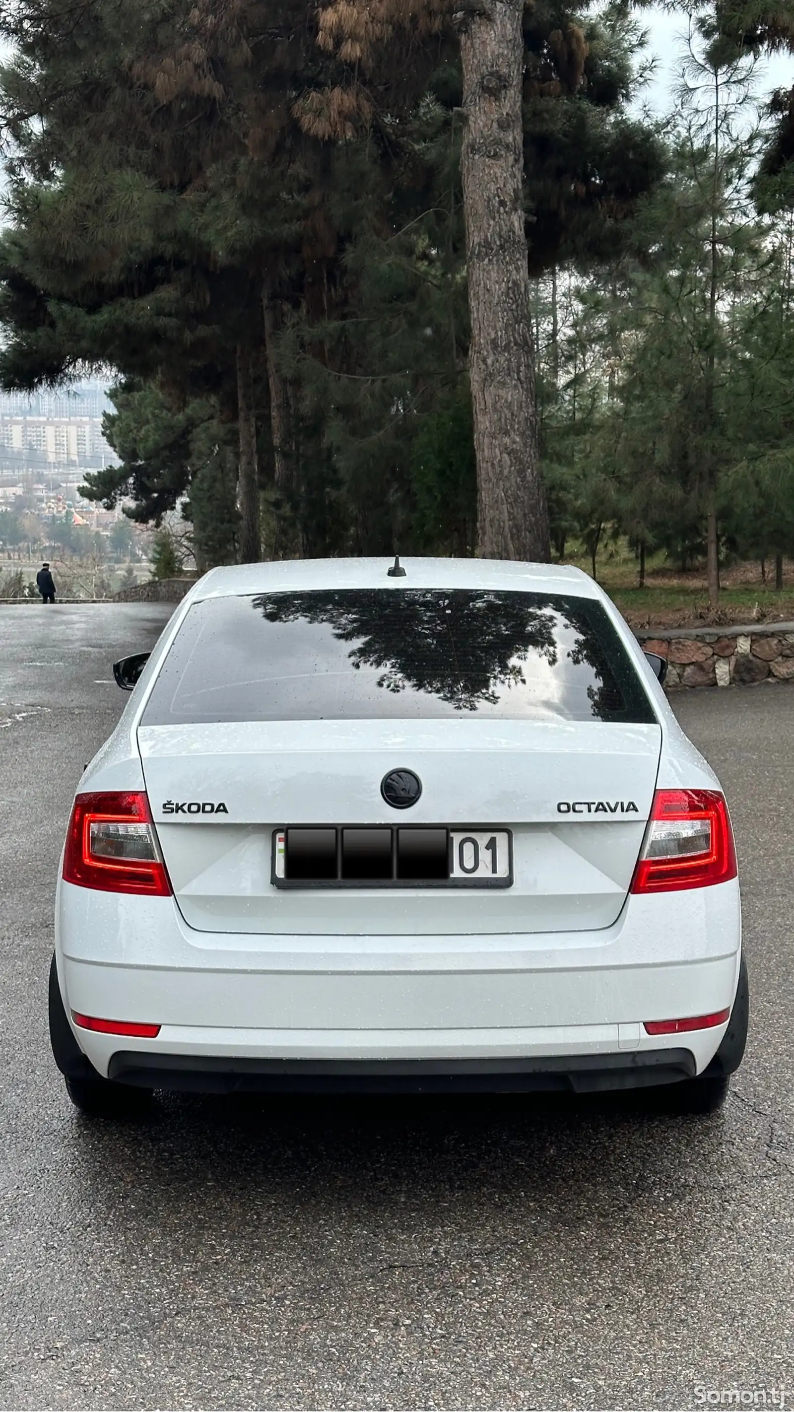 Skoda Octavia, 2019-1