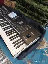 Синтезатор KORG Pa 3 x-3