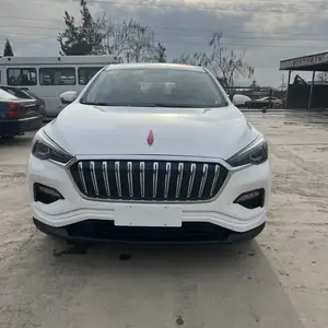 Hongqi E-HS3, 2019