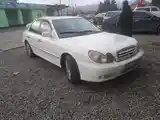 Hyundai Sonata, 2004-3