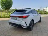 Lexus RX series, 2023-4