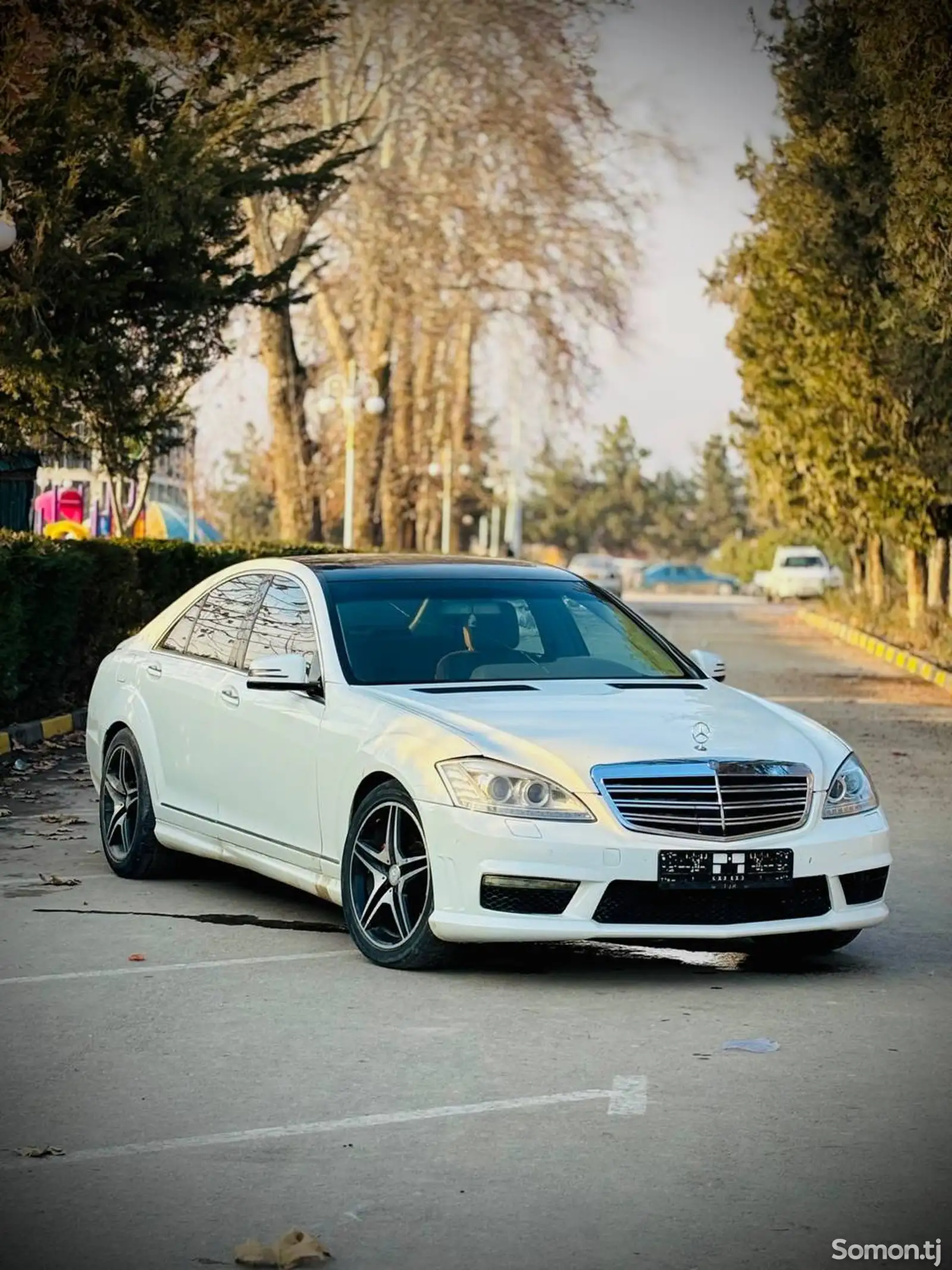 Mercedes-Benz S class, 2008-1