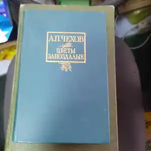 Книги по истории русской литературы