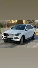 Mercedes-Benz ML class, 2014-3