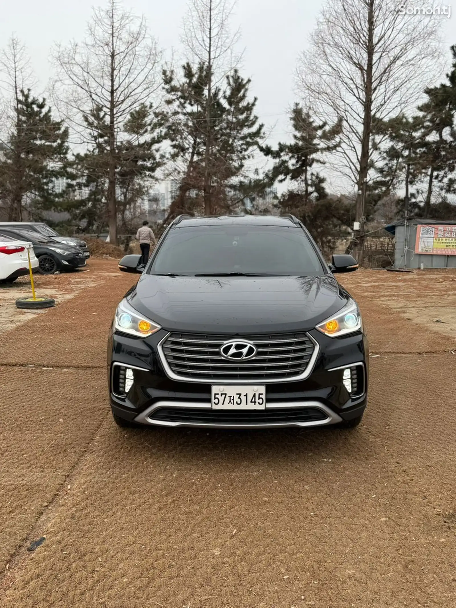 Hyundai Santa Fe, 2016-1