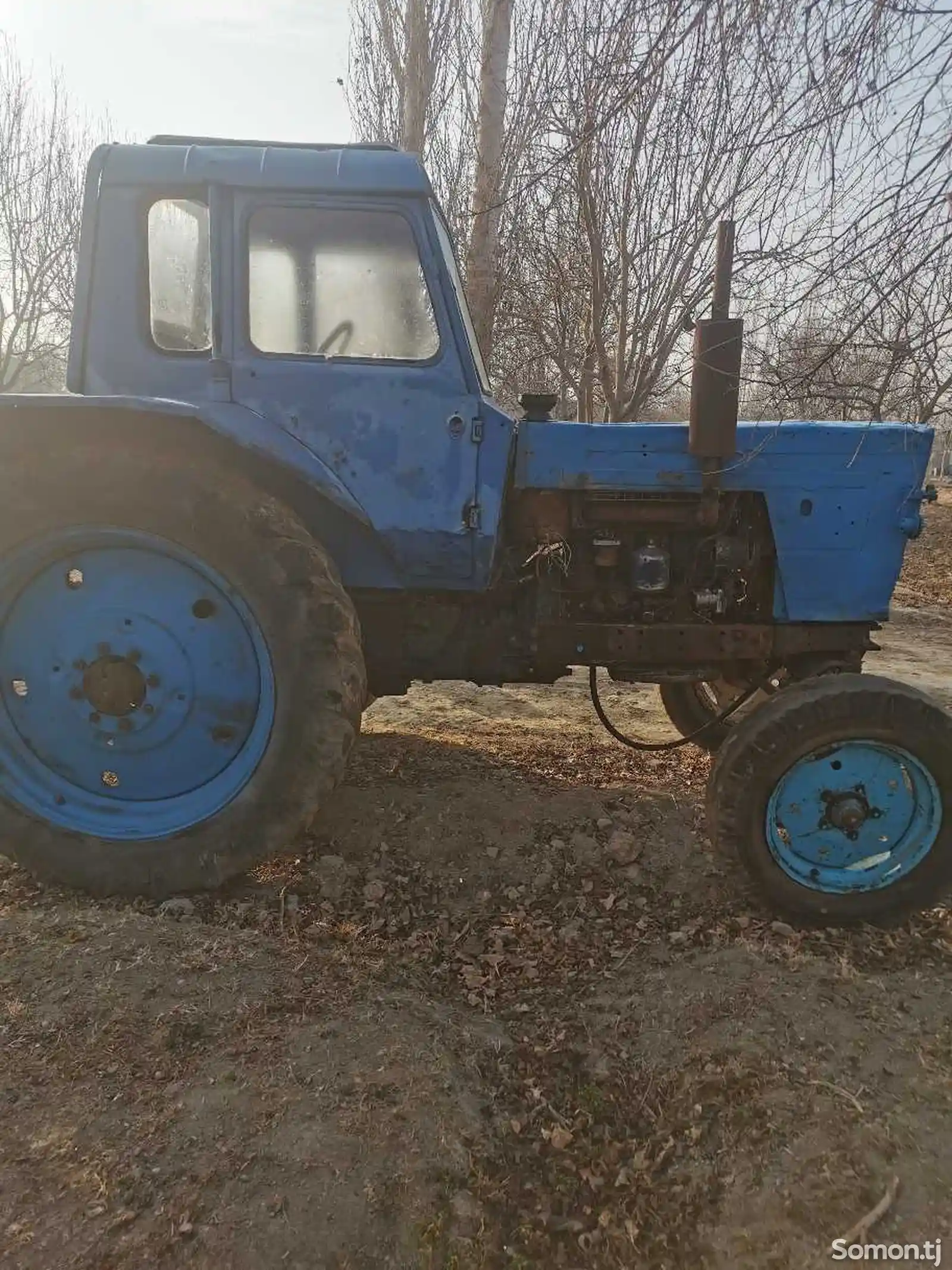 Трактор мтз 80-4