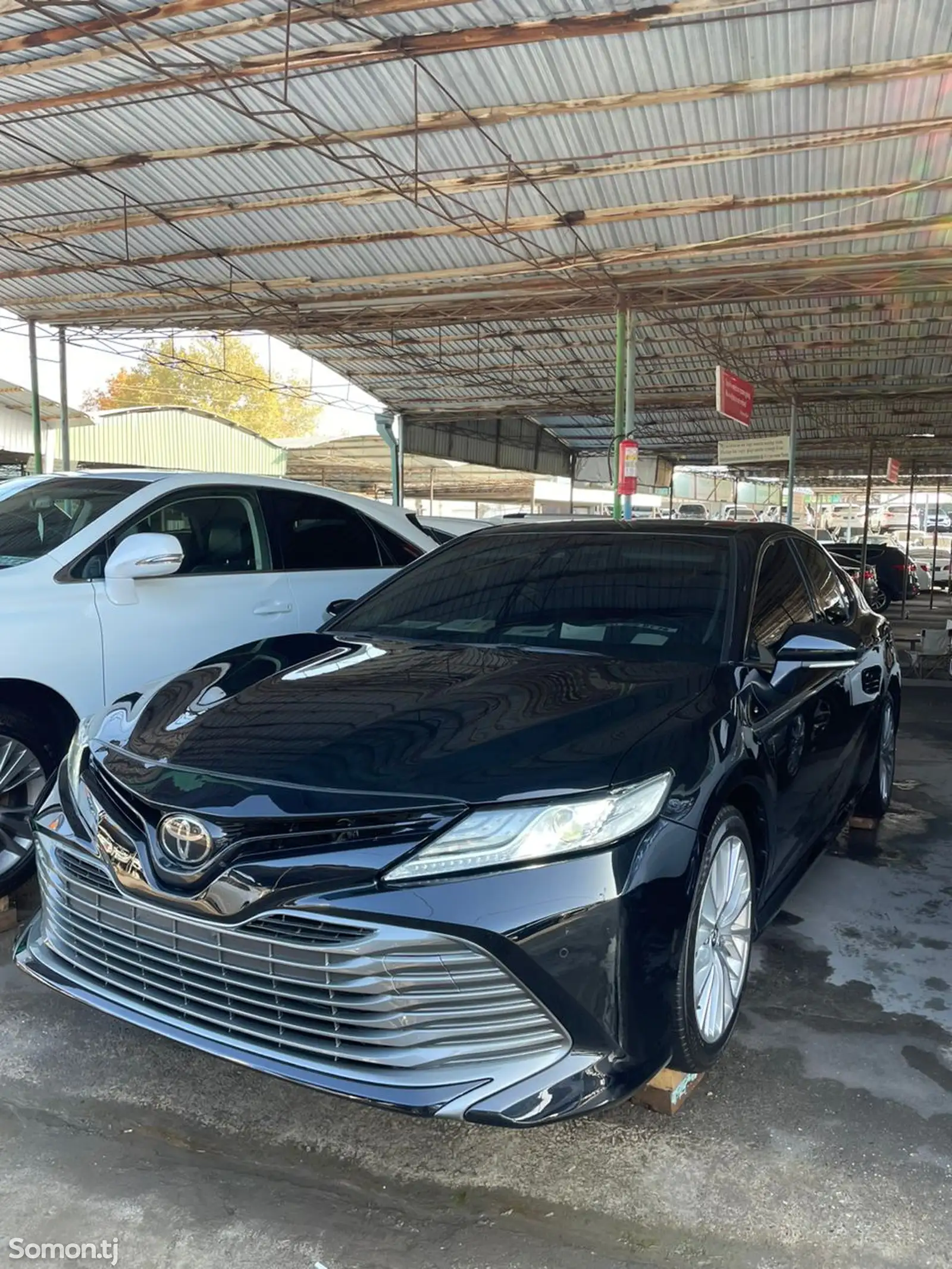 Toyota Camry, 2019-1