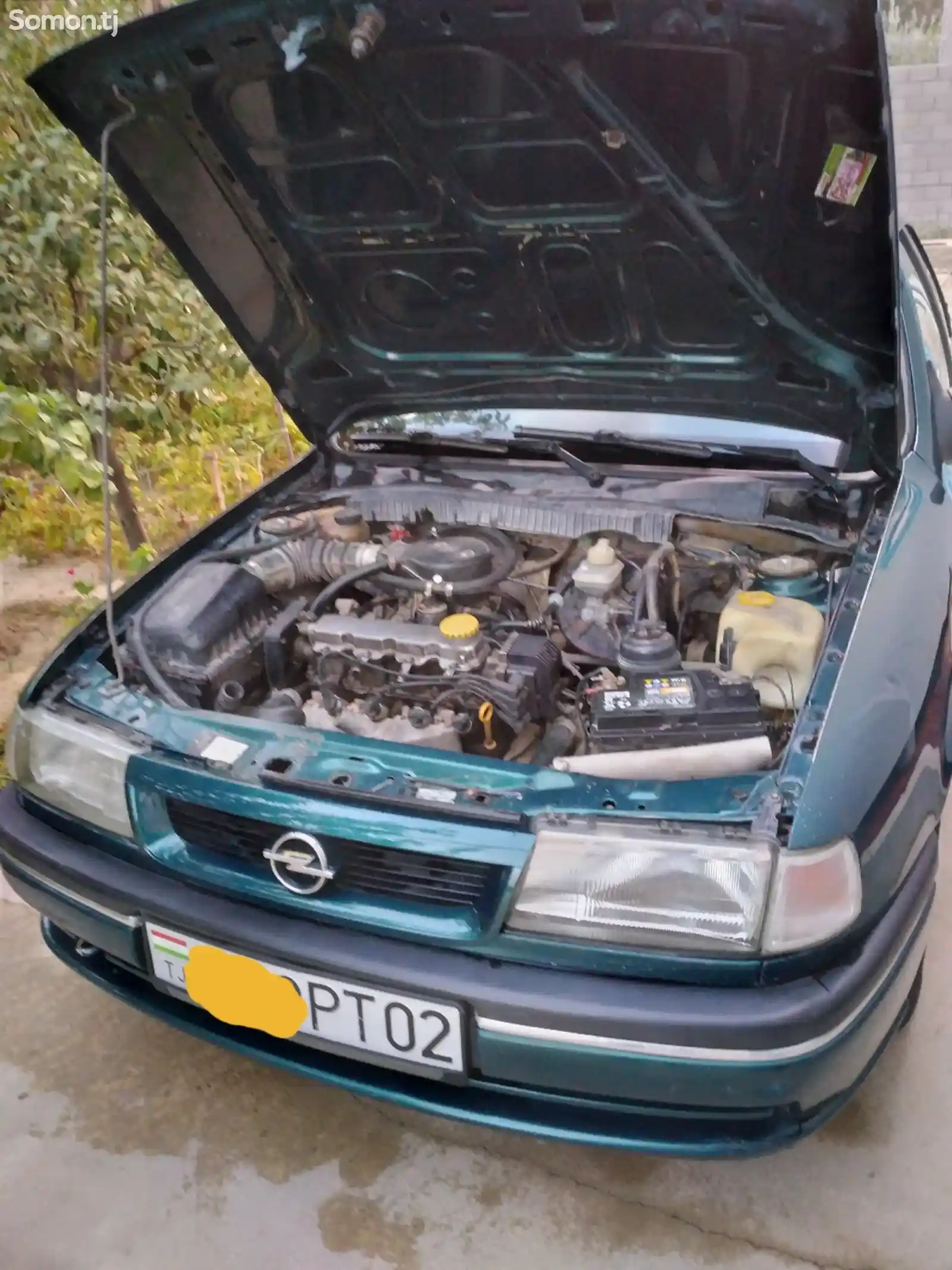 Opel Vectra A, 1995-5