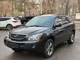 Lexus RX series, 2007-3