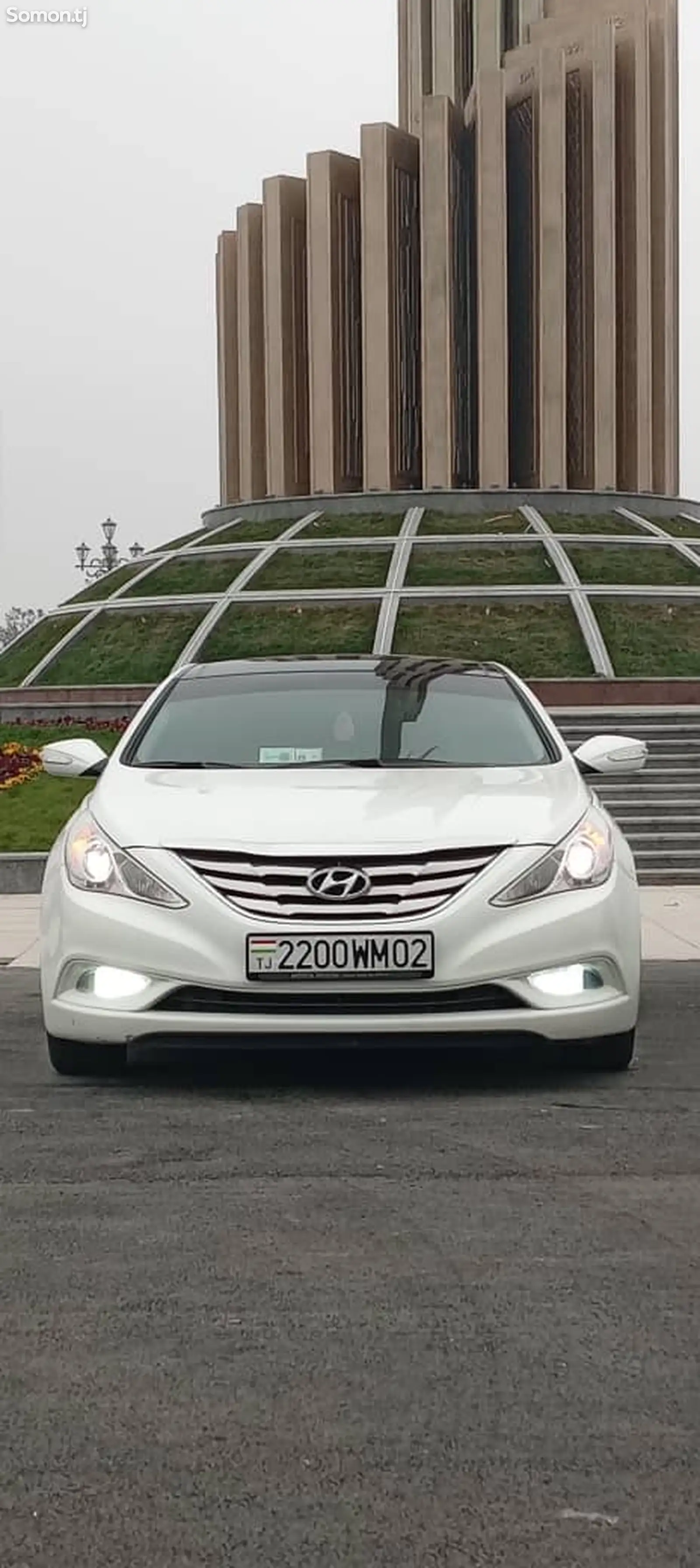 Hyundai Sonata, 2010-1