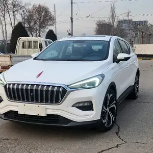 Hongqi E-HS3, 2019